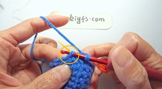 Insert the hook into the front loop only of the first stitch.