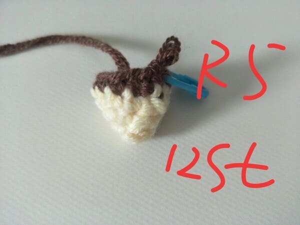 12 st for R5