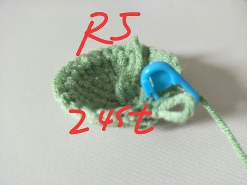 24 st for R5