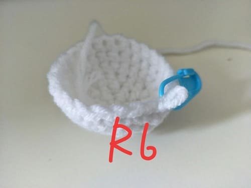 R6