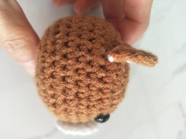 sewing another ear