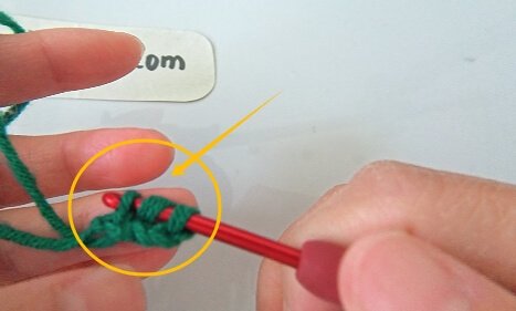 Bring up a loop, we now have three loops
on our hook.