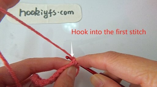 Insert your hook into the first stitch.