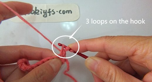 Pull up a loop (you now have 3 loops on your hook).