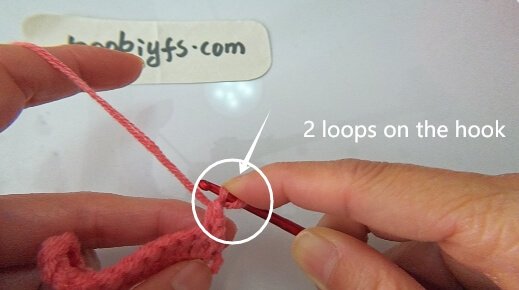Pull through the first two loops (now you have 2 loops on your hook).