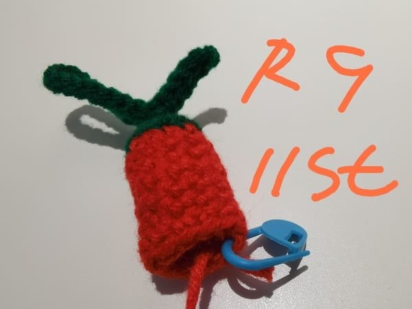 chili crochet is completed