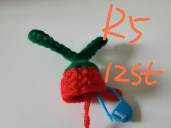 12 stitches for round 5 for chili crochet
