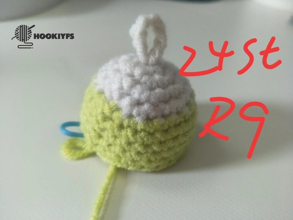 24 stitches for Round 9 for fish crochet