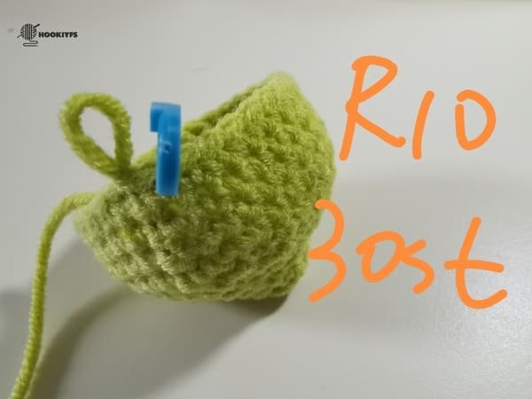 30 stitches for round 10 for lemon crochet pattern