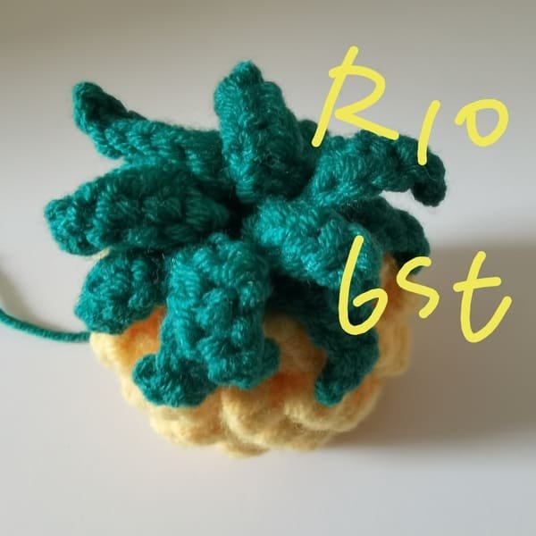 6 stitches for round 10 for pineapple crochet pattern