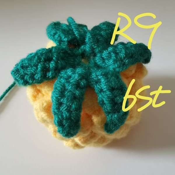 6 stitches for round 9 for pineapple crochet pattern