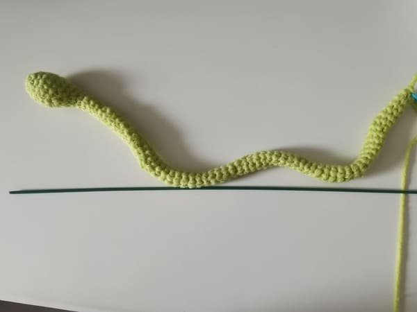 Put the iron wire in to body of snake