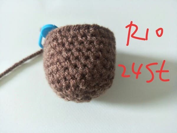 R10 is completed for 24 st for drumstick crochet