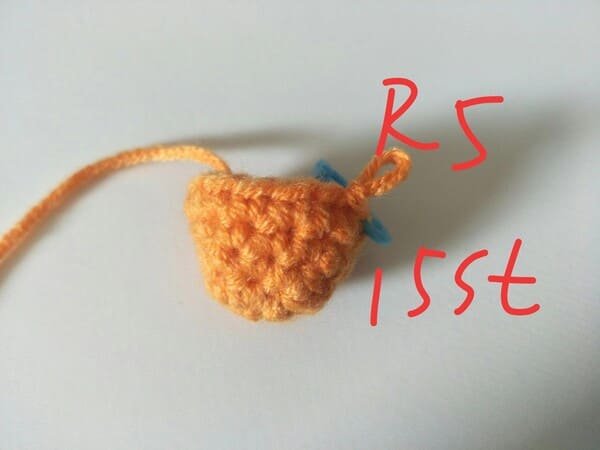 R5 is completed for carrot crochet