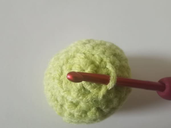 The crochet position of octopus tentacles