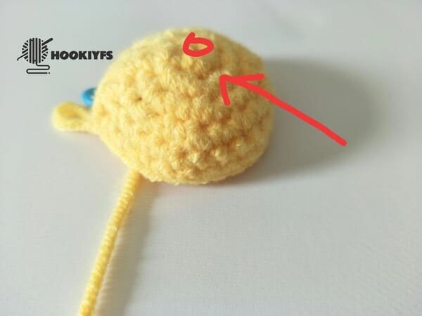The raised one is a round for duck crochet
