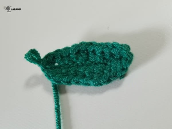 another side of leaf