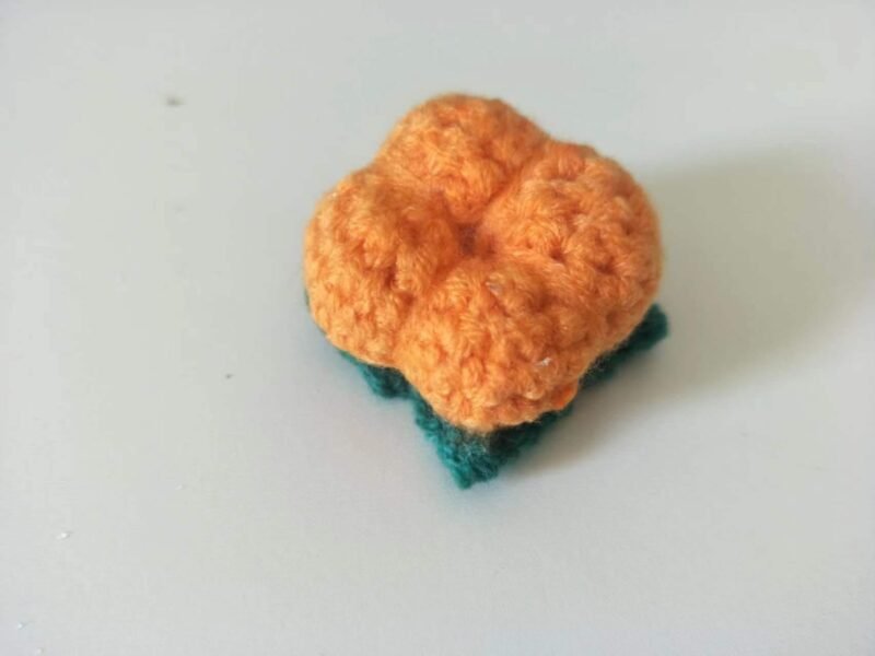 back of persimmon crochet kit