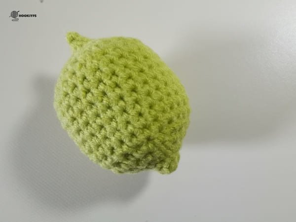 body of lemon is completed.