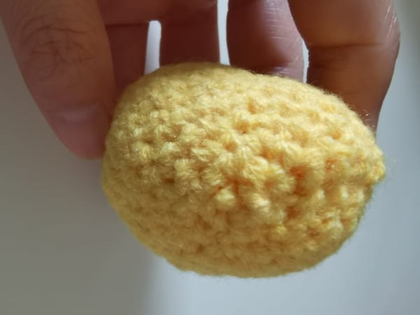 conceal the yarn end is completed for mango crochet
