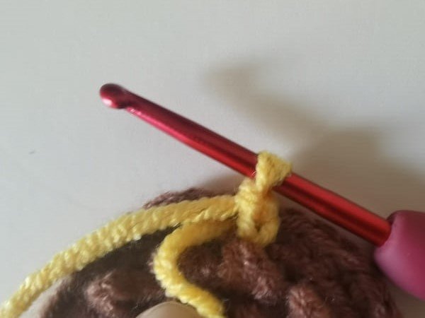 crochet 2 chain stitches for the first petal