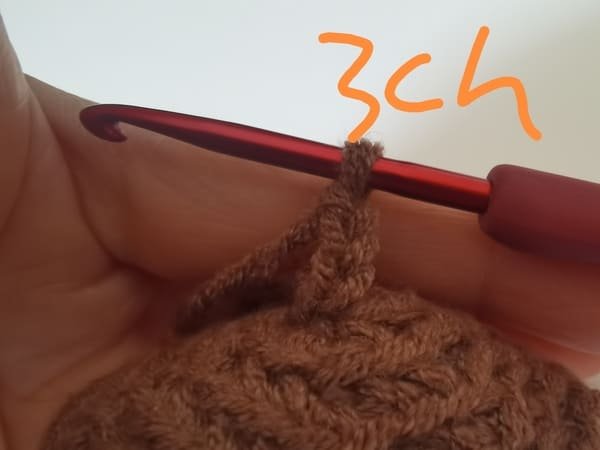 crochet 3 chain stitches for stamens