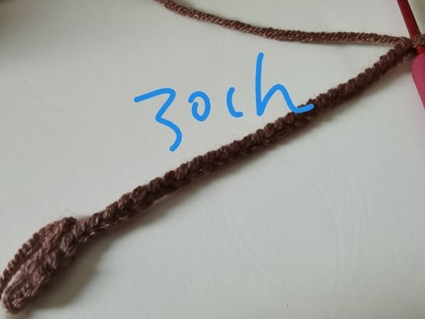 crochet 30 chain stitches for hand carrying