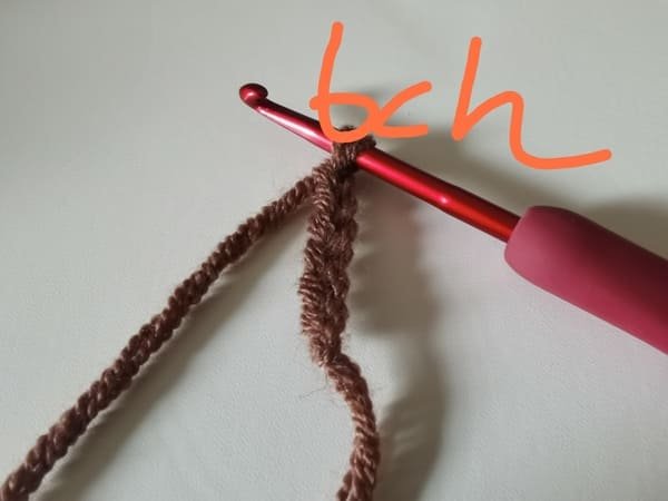 crochet 6 chain stitches for stem