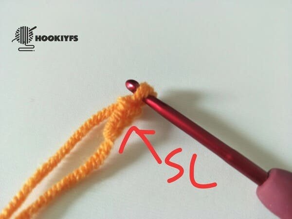 crochet order for lower mouth