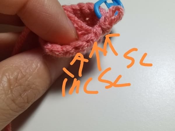 crochet order for round 5 for crochet peach pattern
