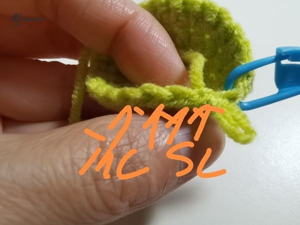 crochet order for round 6 for lemon crochet pattern