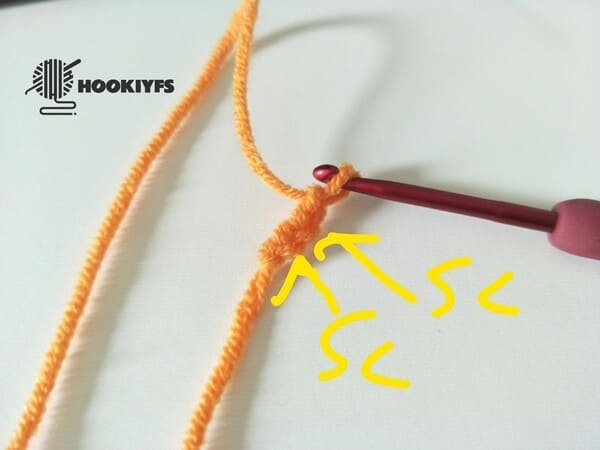 crochet order of upper Mouth