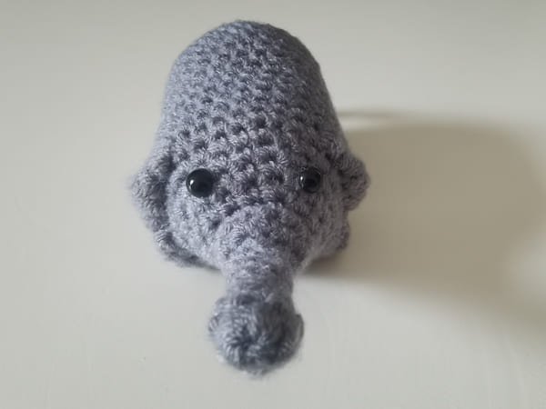 glue the eyes on the elephant head