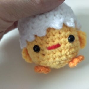 hand of of crochet chicken pattern kit details