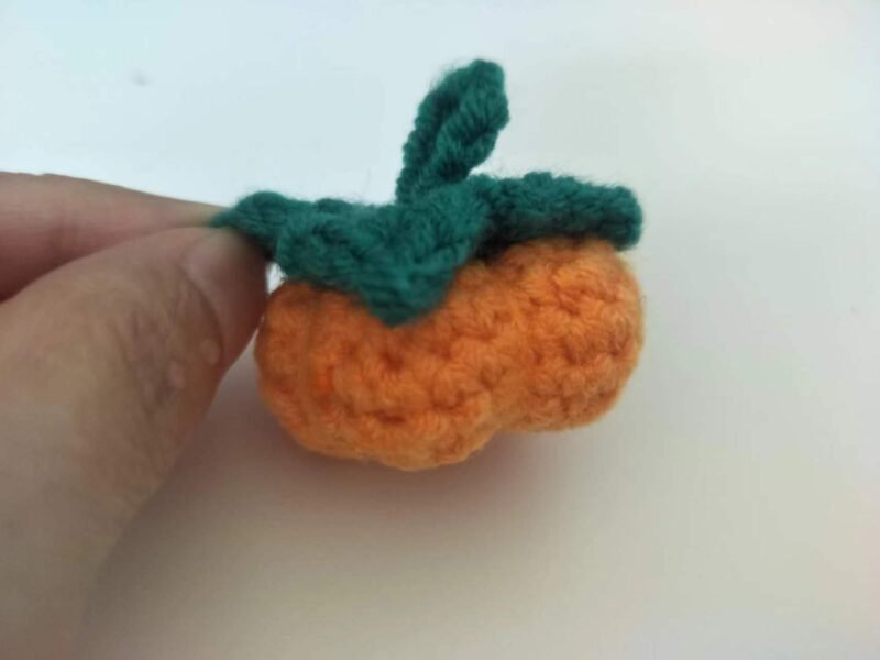 hand with persimmon crochet kit