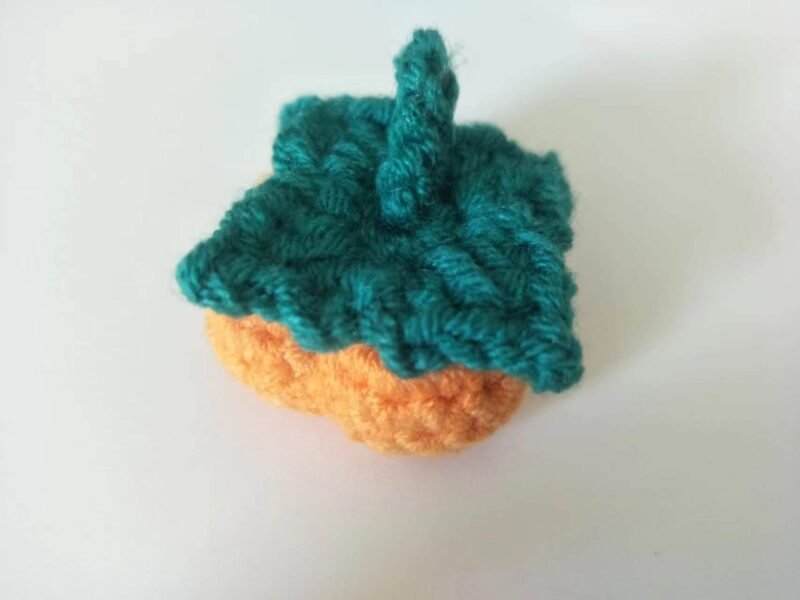 leaf details of persimmon crochet kit