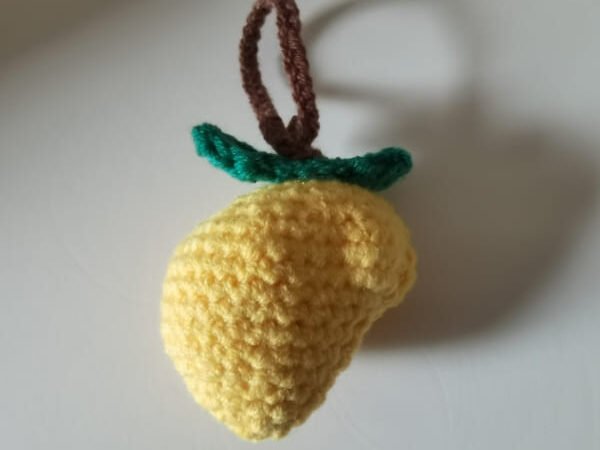 mango crochet is completed