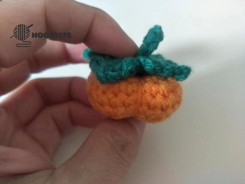 persimmon crochet is completed.