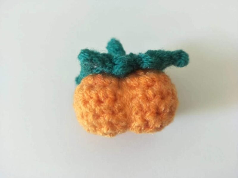 persimmon crochet kit main photo