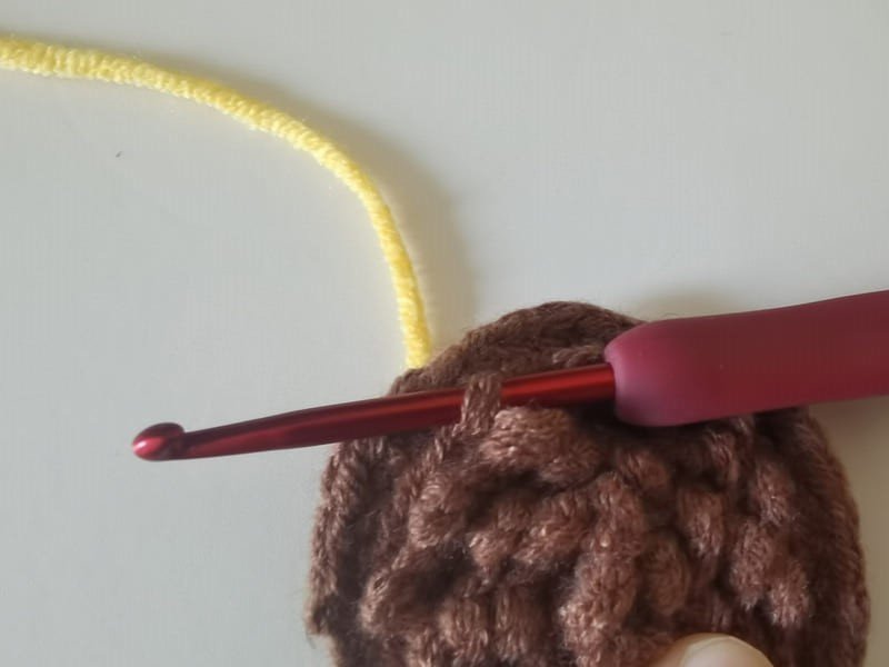 put the yellow yarn before the fifth outer loop for petal