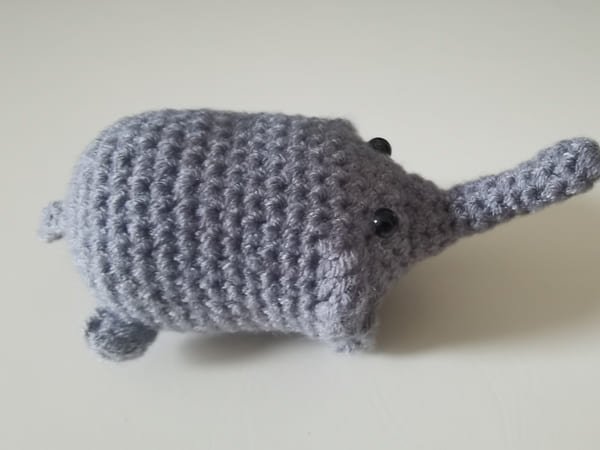 side of elephant