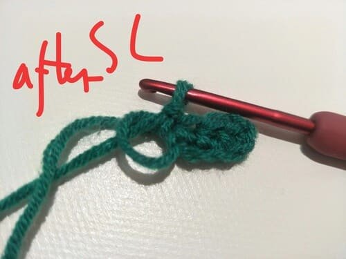 sl for leaf
