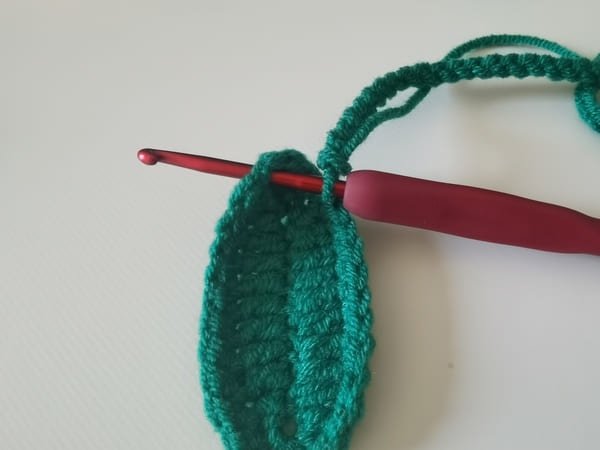 then crochet slip stitch for another leaf