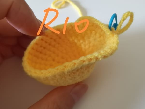 view of round 10 for mango crochet