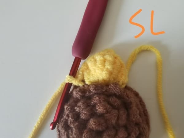 we crochet slip stitch in next chain stitch for petal