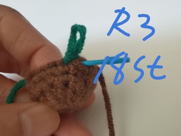 18 stitches for round 3 for sock crochet