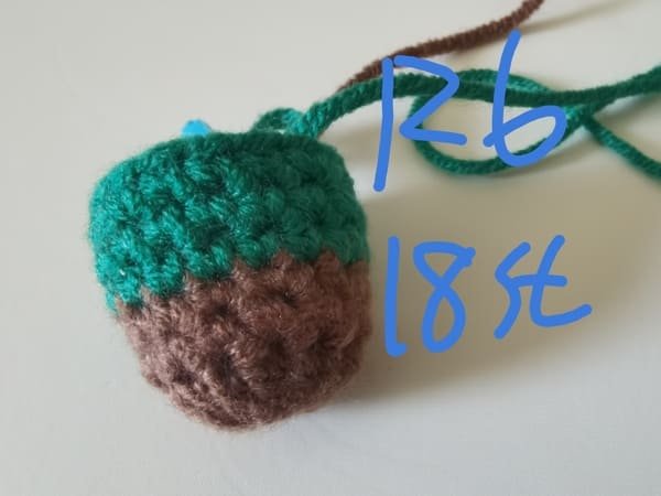 18 stitches for round 6 for sock crochet