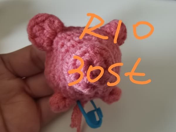 30 stitches for round 10 for crochet pig