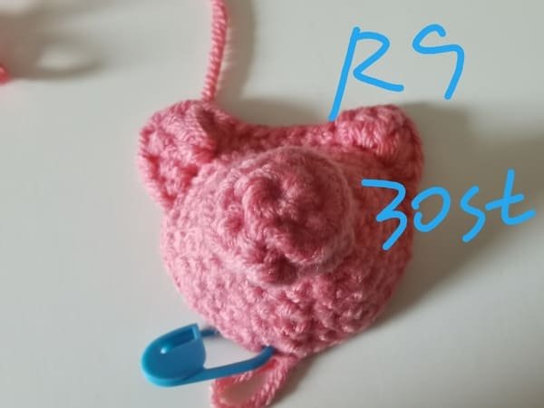 30 stitches for round 9 for crochet pig
