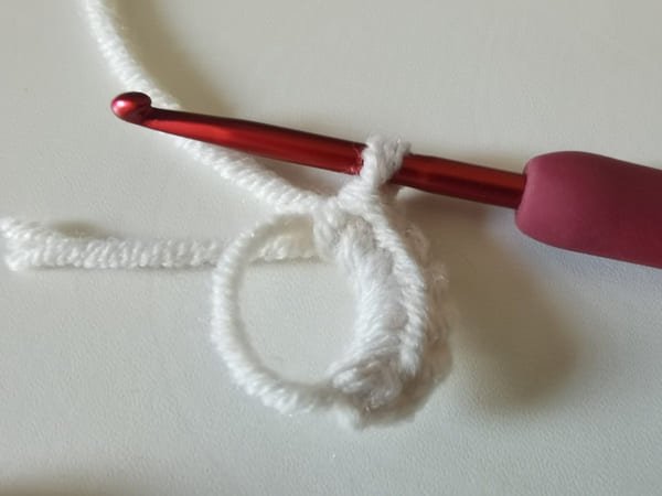 6 single crochets in to magic ring for white eye